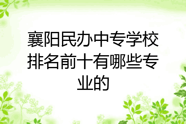 襄阳民办中专学校排名前十有哪些专业的