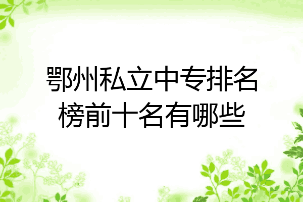 鄂州私立中专排名榜前十名有哪些