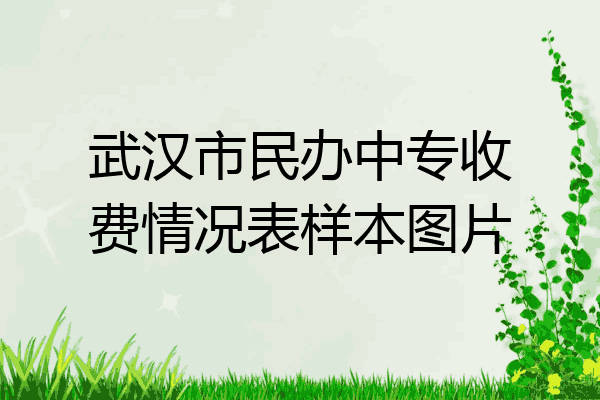 武汉市民办中专收费情况表样本图片