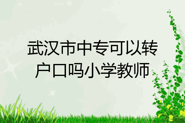 武汉市中专可以转户口吗小学教师