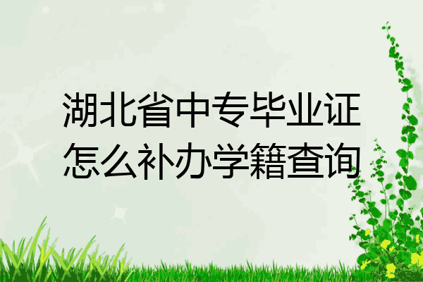 湖北省中专毕业证怎么补办学籍查询