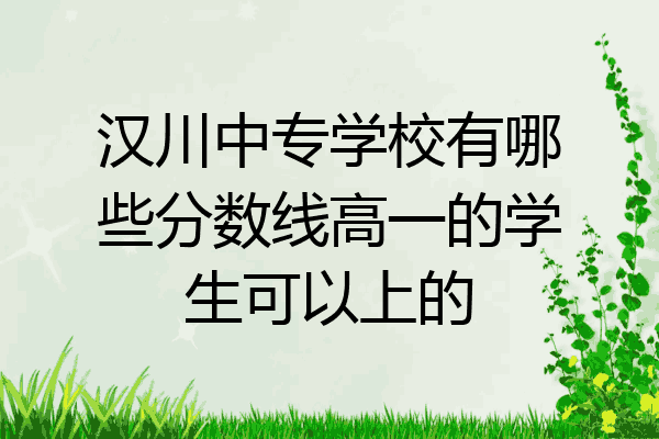 汉川中专学校有哪些分数线高一的学生可以上的