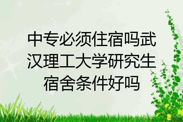 中专必须住宿吗武汉理工大学研究生宿舍条件好吗
