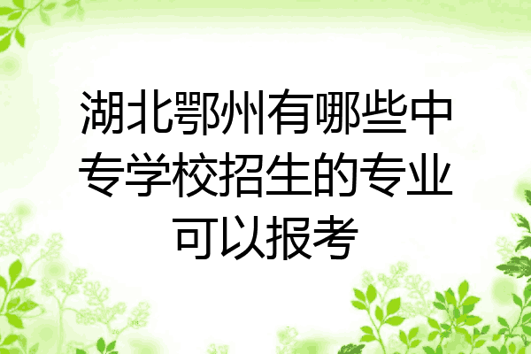 湖北鄂州有哪些中专学校招生的专业可以报考