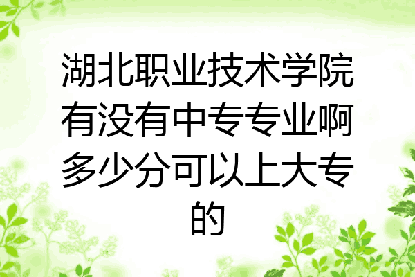湖北职业技术学院有没有中专专业啊多少分可以上大专的