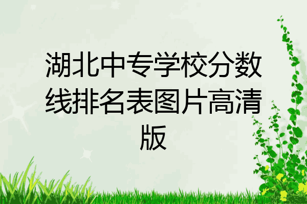 湖北中专学校分数线排名表图片高清版