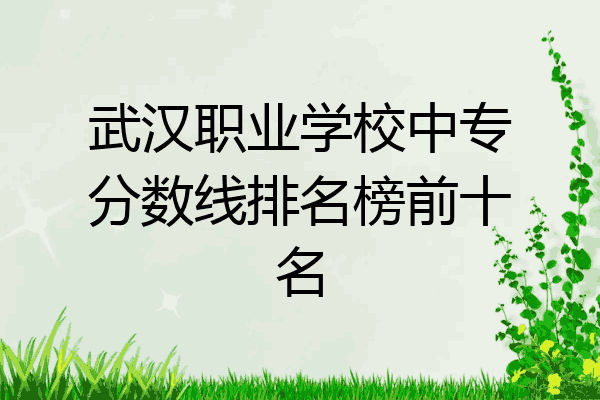 武汉职业学校中专分数线排名榜前十名