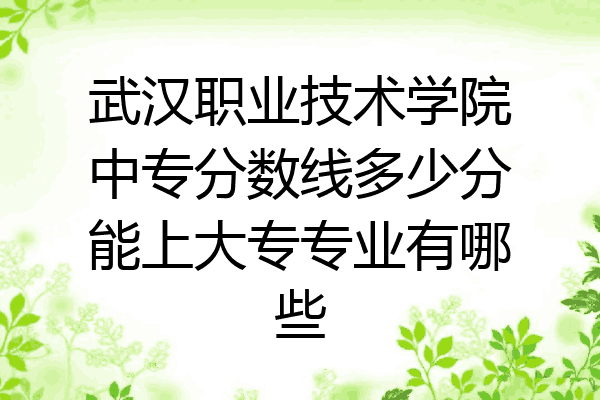 武汉职业技术学院中专分数线多少分能上大专专业有哪些