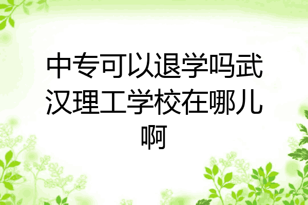 中专可以退学吗武汉理工学校在哪儿啊