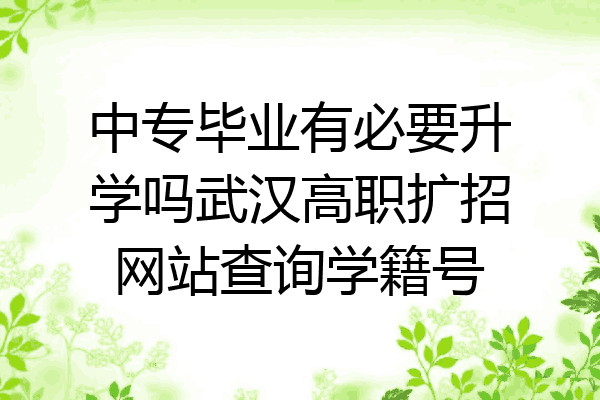 中专毕业有必要升学吗武汉高职扩招网站查询学籍号
