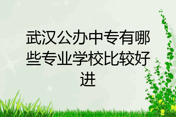 武汉公办中专有哪些专业学校比较好进