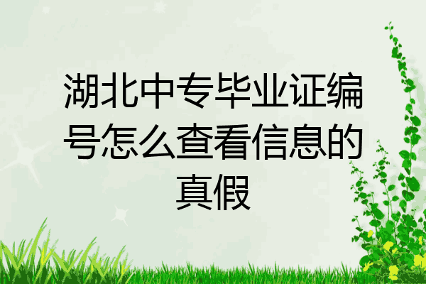 湖北中专毕业证编号怎么查看信息的真假