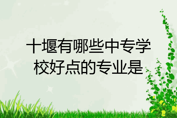 十堰有哪些中专学校好点的专业是