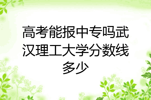 高考能报中专吗武汉理工大学分数线多少