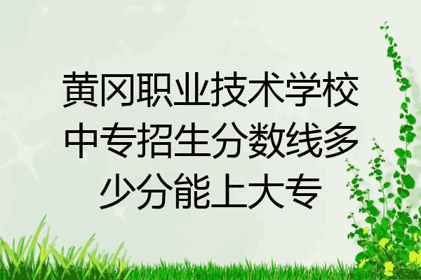 黄冈职业技术学校中专招生分数线多少分能上大专