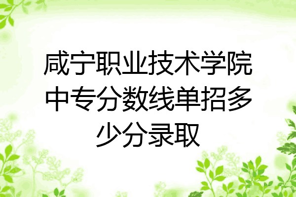咸宁职业技术学院中专分数线单招多少分录取