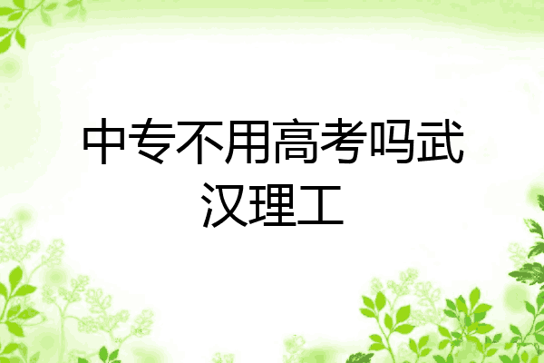 中专不用高考吗武汉理工