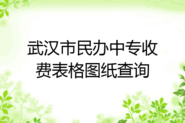 武汉市民办中专收费表格图纸查询