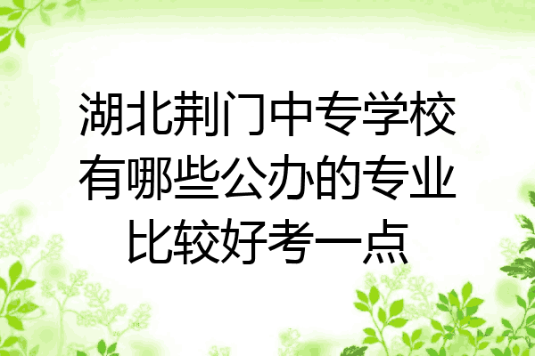 湖北荆门中专学校有哪些公办的专业比较好考一点