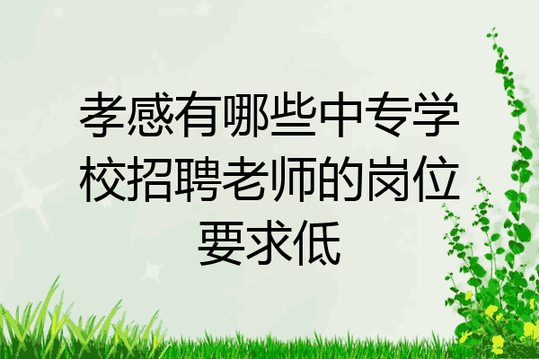 孝感有哪些中专学校招聘老师的岗位要求低