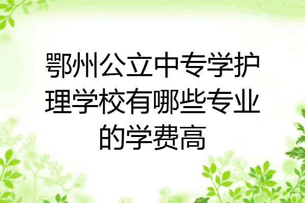 鄂州公立中专学护理学校有哪些专业的学费高