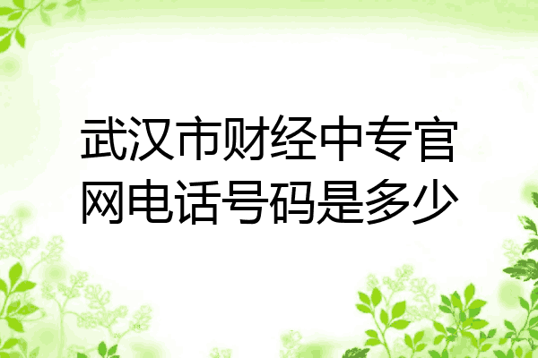 武汉市财经中专官网电话号码是多少