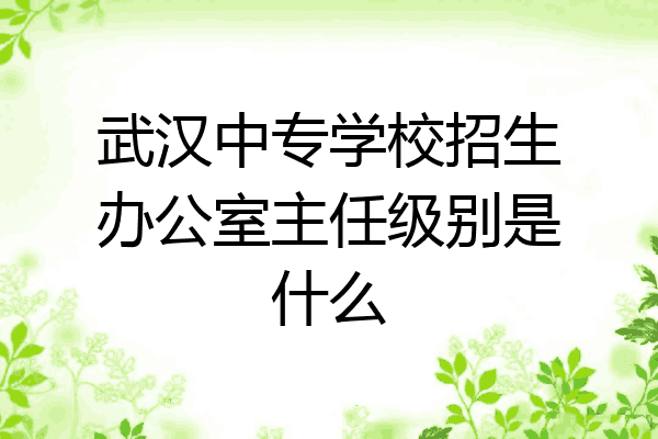 武汉中专学校招生办公室主任级别是什么