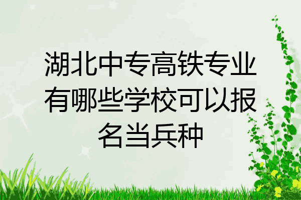 湖北中专高铁专业有哪些学校可以报名当兵种
