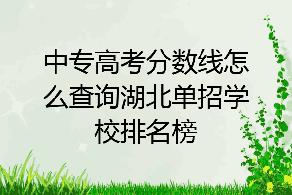 中专高考分数线怎么查询湖北单招学校排名榜