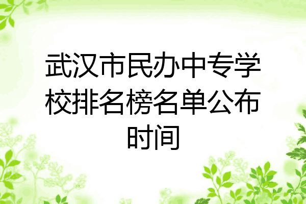 武汉市民办中专学校排名榜名单公布时间