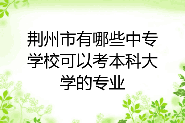 荆州市有哪些中专学校可以考本科大学的专业