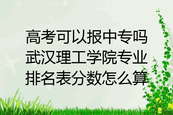 高考可以报中专吗武汉理工学院专业排名表分数怎么算