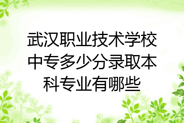 武汉职业技术学校中专多少分录取本科专业有哪些