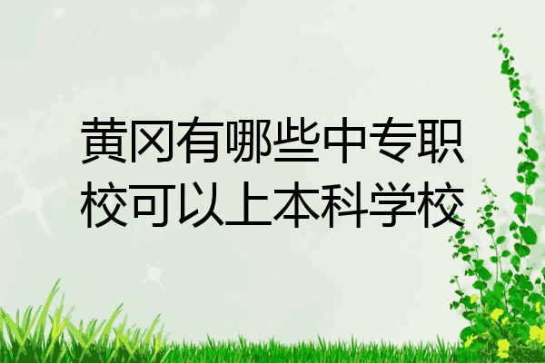 黄冈有哪些中专职校可以上本科学校