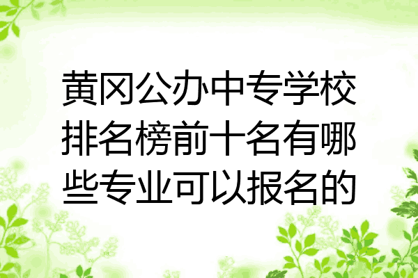 黄冈公办中专学校排名榜前十名有哪些专业可以报名的