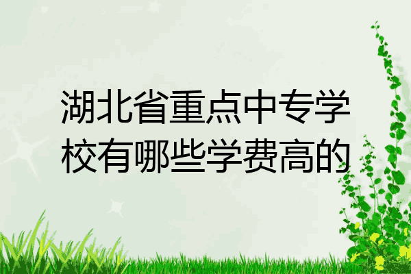 湖北省重点中专学校有哪些学费高的