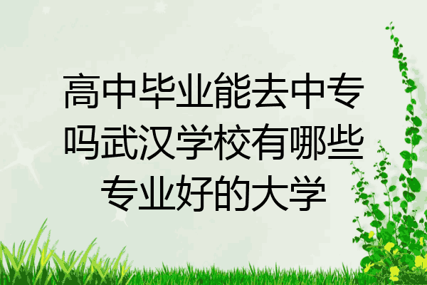 高中毕业能去中专吗武汉学校有哪些专业好的大学