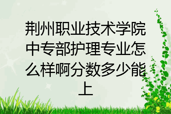 荆州职业技术学院中专部护理专业怎么样啊分数多少能上