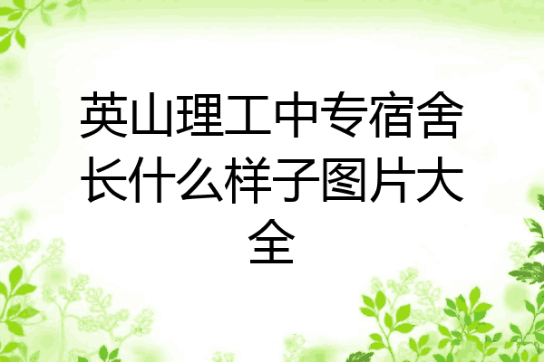 英山理工中专宿舍长什么样子图片大全