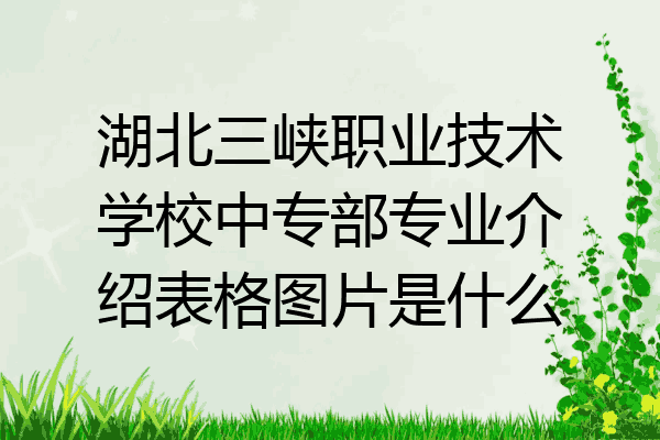 湖北三峡职业技术学校中专部专业介绍表格图片是什么