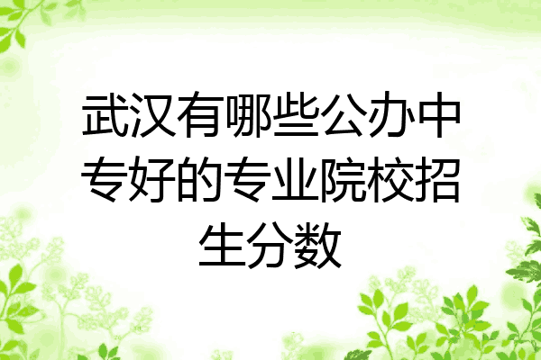 武汉有哪些公办中专好的专业院校招生分数