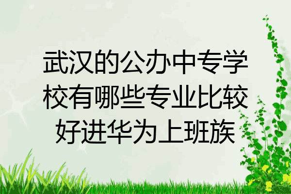 武汉的公办中专学校有哪些专业比较好进华为上班族