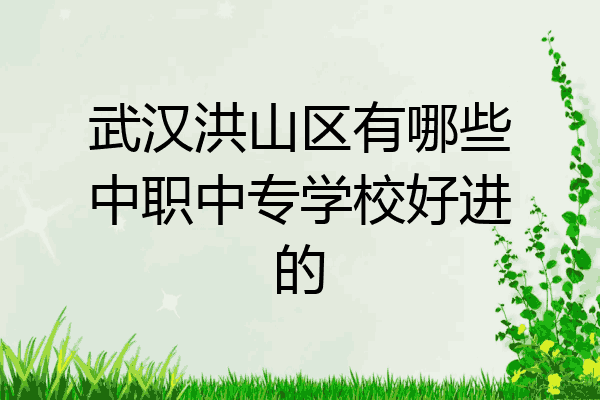 武汉洪山区有哪些中职中专学校好进的