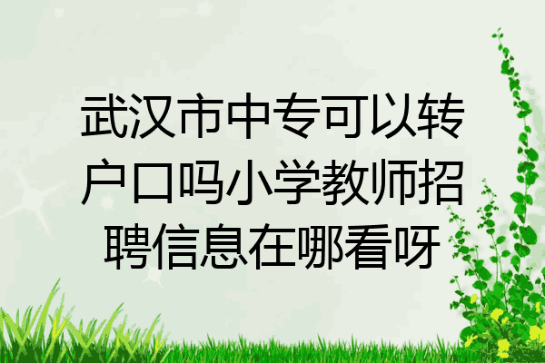 武汉市中专可以转户口吗小学教师招聘信息在哪看呀