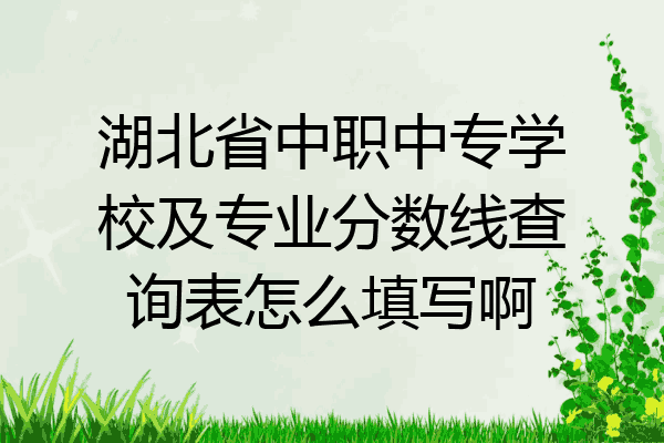湖北省中职中专学校及专业分数线查询表怎么填写啊