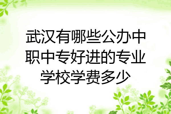武汉有哪些公办中职中专好进的专业学校学费多少