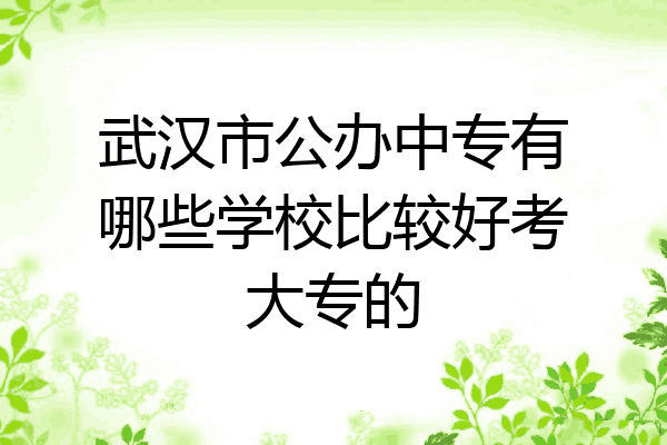 武汉市公办中专有哪些学校比较好考大专的
