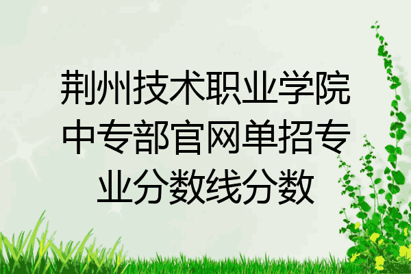 荆州技术职业学院中专部官网单招专业分数线分数