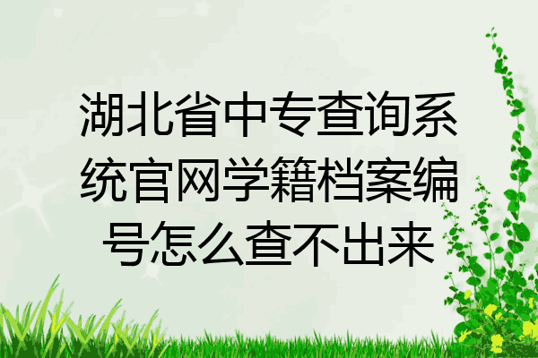 湖北省中专查询系统官网学籍档案编号怎么查不出来