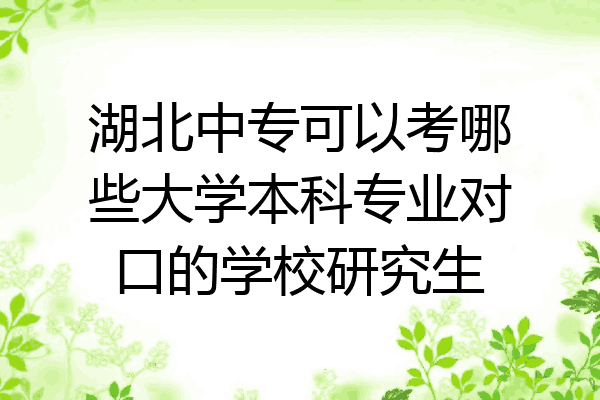 湖北中专可以考哪些大学本科专业对口的学校研究生